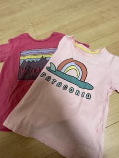 PATAGONIA Tシャツ 2枚セットのサムネイル