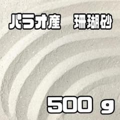 天然】パラオ産 珊瑚砂 500g 極細サイズ 3 - メルカリ