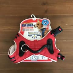 愛情胴輪 Mサイズのサムネイル