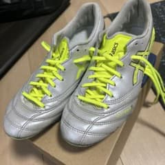 asics DS LIGHT X-fly6 23.5cmのサムネイル