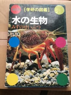 水の生物 学研の図鑑 趣味  魚のサムネイル