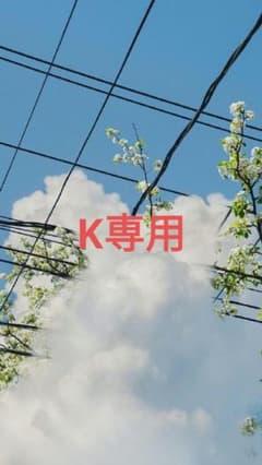 Stüssy ブラック/グレー ラベル付き ダウンジャケット 刺繍 S 9 Stussy ジャケット ダウンジャケット 刺繍 ブラック/グレー M - メルカリ