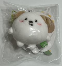 正規品】RIIZE アントン ミニドールキーリング モンリョンイ