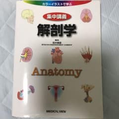 集中講義解剖学 : カラーイラストで学ぶのサムネイル