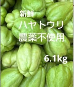 新鮮 ハヤトウリ 農薬不使用 - メルカリ