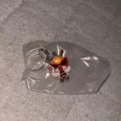 little Bee ヒステリックミニ めじるしアクセサリー ヒスミニのサムネイル