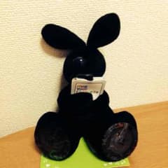 数量限定４つのサムネイル
