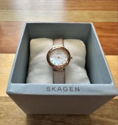 SKAGEN 여성 시계 쉘 문자판