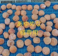 あゆめな様専用のサムネイル