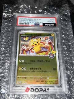 J*z様 トウホクのピカチュウのサムネイル