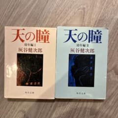 天の瞳 幼年編 I・II セットのサムネイル