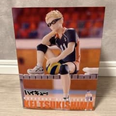 ハイキュー!! ぬーどるストッパーフィギュア 月島蛍