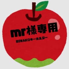 フォロワーのmr様専用 BIWAKOキーホルダーのサムネイル