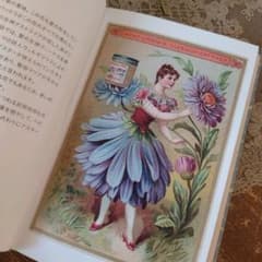 B064 ちいさな手のひら事典 花言葉 ジャンクジャーナル イラスト 雑記