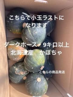 ②かぼちゃ 箱込み約9キロ以上のサムネイル