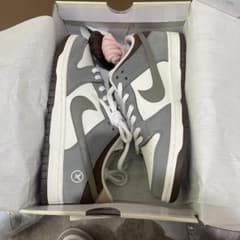 Nike Dunk Grey-Brown Airplane Logo Low-Top Sneakers, Size 27cm