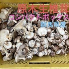 原木椎茸　【生】　コンパクトボックスいっぱいのサムネイル