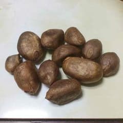 びわ種のサムネイル