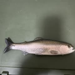 CHAOS BAIT スイムベイト Trout9.5 chaos bait trout9.5 スイムベイト カオスベイト - メルカリ