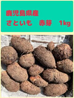 鹿児島県産　さといも　赤芽　1kgのサムネイル