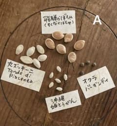まきどき夏野菜タネ☆セットA【固定種】のサムネイル