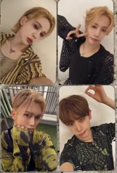 XLOV DAILYDUCK トレカ コンプリートセット - メルカリ