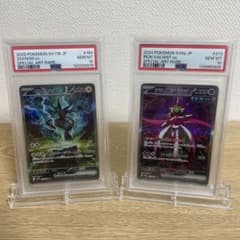 【PSA10】danciao氏作画 ゼクロムex テツノブジンex SAR PSA10】danciao氏作画 ゼクロムex テツノブジンex SAR - メルカリ