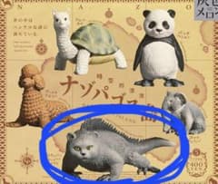 ナゾパゴス島　ブリティッシュショートヘアイグアナのサムネイル