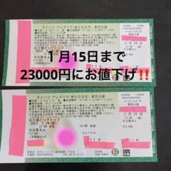 アレグリア(シルク・ドゥ・ソレイユ)平日チケットSS席大人2枚のサムネイル