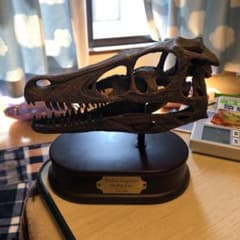 ヴェロキラプトルの実寸大のレプリカのサムネイル