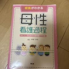 母性看護過程 第3版 中村幸代 編 南江堂のサムネイル