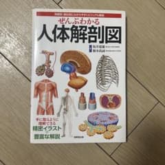 ぜんぶわかる人体解剖図 : 系統別・部位別にわかりやすくビジュアル解説のサムネイル