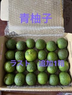 青柚子　24個(約１キロ)のサムネイル
