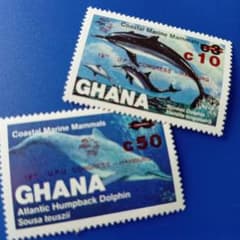 3771 外国切手 国々 魚類 海洋生物 シリーズ 22種 未使用 3591 外国切手 国々 魚類 海洋生物シリーズ 4セット16種完 【公式通販】