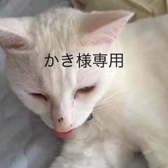 TRF イージー・ドゥ・ダンササイズ3本セットのサムネイル