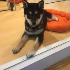 うっすーさん専用のサムネイル