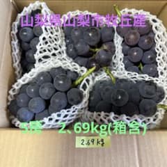 ま*♡様 新鮮 巨峰 5房入りのサムネイル