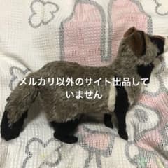 TOMO BEAR テディベア作家　TOMOKO FURUYA タヌキ　中古品 TOMO BEAR テディベア作家 TOMOKO FURUYA タヌキ 中古品 - メルカリ