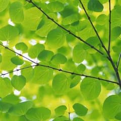 たろう様 専用ページのサムネイル