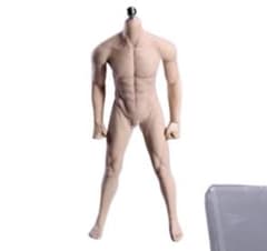 JIAOUDOLL 1/6素体フィギュア 男性 シームレス 筋肉 デッサン人形