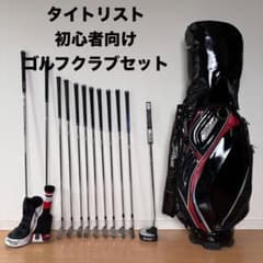 初心者向けメンズゴルフクラブセットTitileistタイトリストTsi990AP