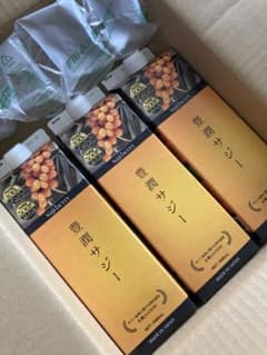 フィネス 豊潤サジー　3本セット！のサムネイル