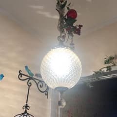 ✨シーリングライト✨LED電球付き✨天井照明✨のサムネイル