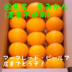 因島産　夏みかん　農薬不使用　4.8kgのサムネイル