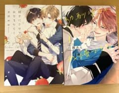 BL漫画2冊セットで450円     バラ⭕️     3月21日までのサムネイル