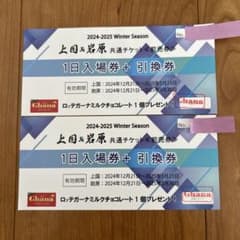 上国＆岩原 1日入場券＋引換券のサムネイル