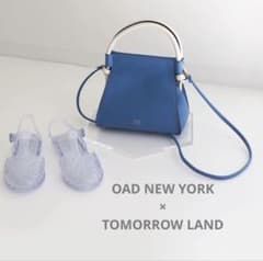 OAD NEW YORK × TOMORROW LAND 2wayバッグ ブルー - メルカリ
