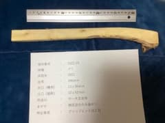 玄能柄2229 グミ　乾燥品　半加工のサムネイル