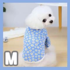ドッグウェア 犬服 Mサイズ 花柄 青 水色 デイジー かわいいのサムネイル