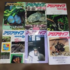 激レア☆ ゴローズ記載 金子賢愛用 雑誌 Jack | Shop at Mercari from